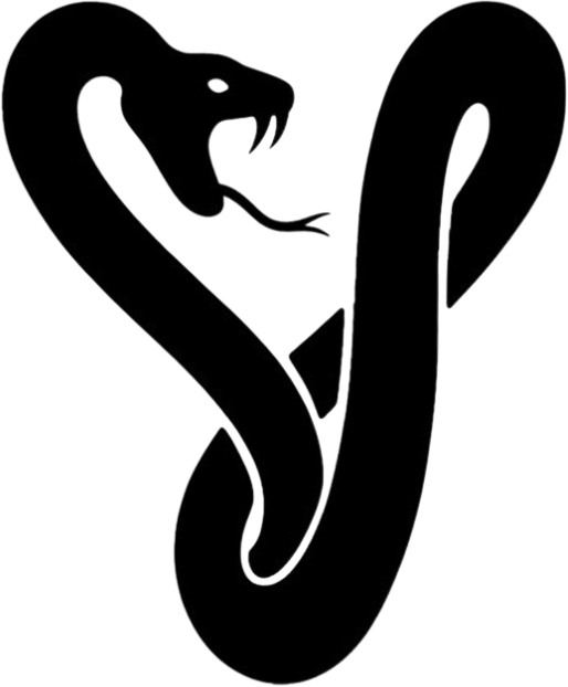 Venimi Logo